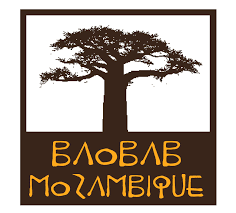 Logotipo Baobab Mozambique